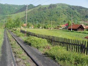 Pe linia de cale ferată îngustă, la Lonea                                                                       